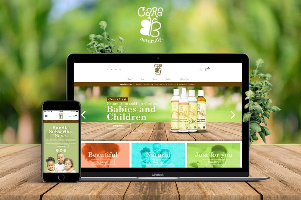 Startup Website Design & Development Package image 1